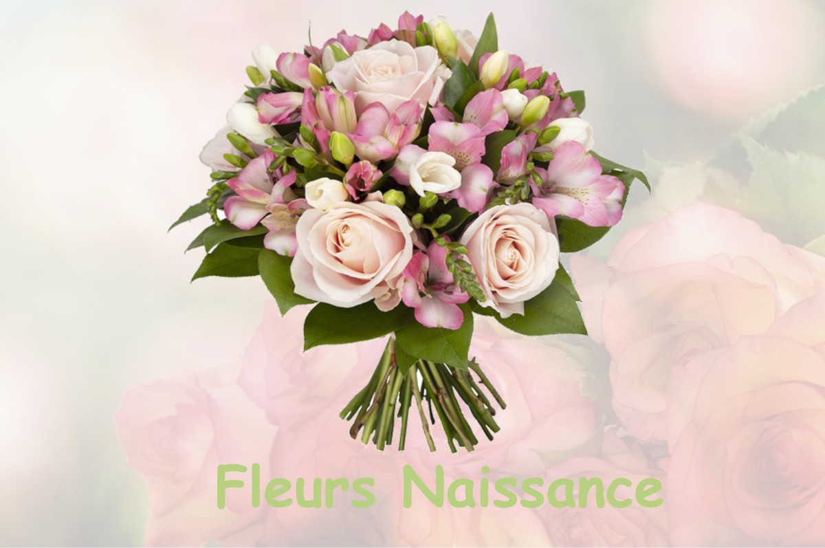 fleurs naissance MIGNOVILLARD