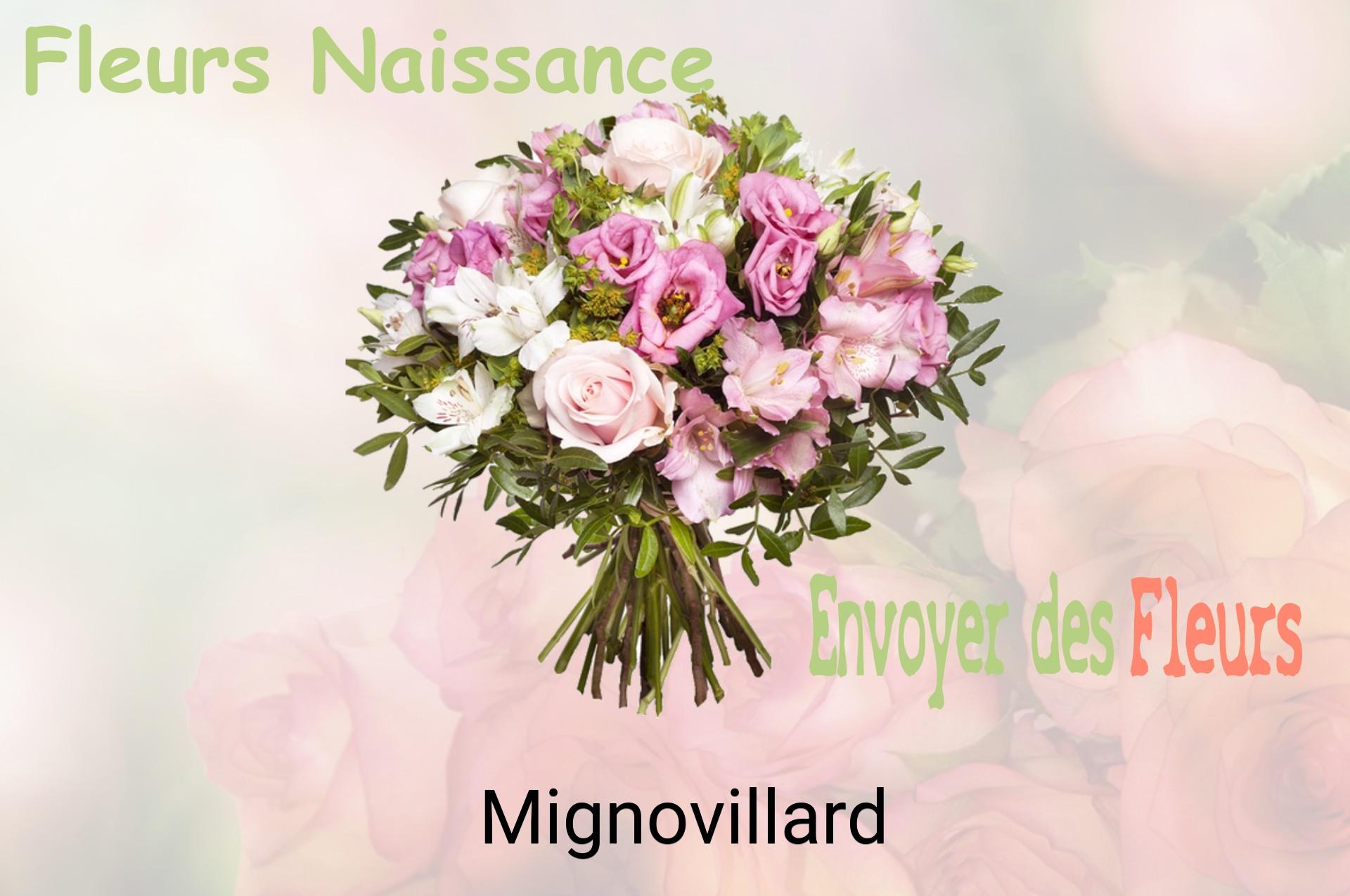 Bouquet de fleurs de naissance livré à Mignovillard