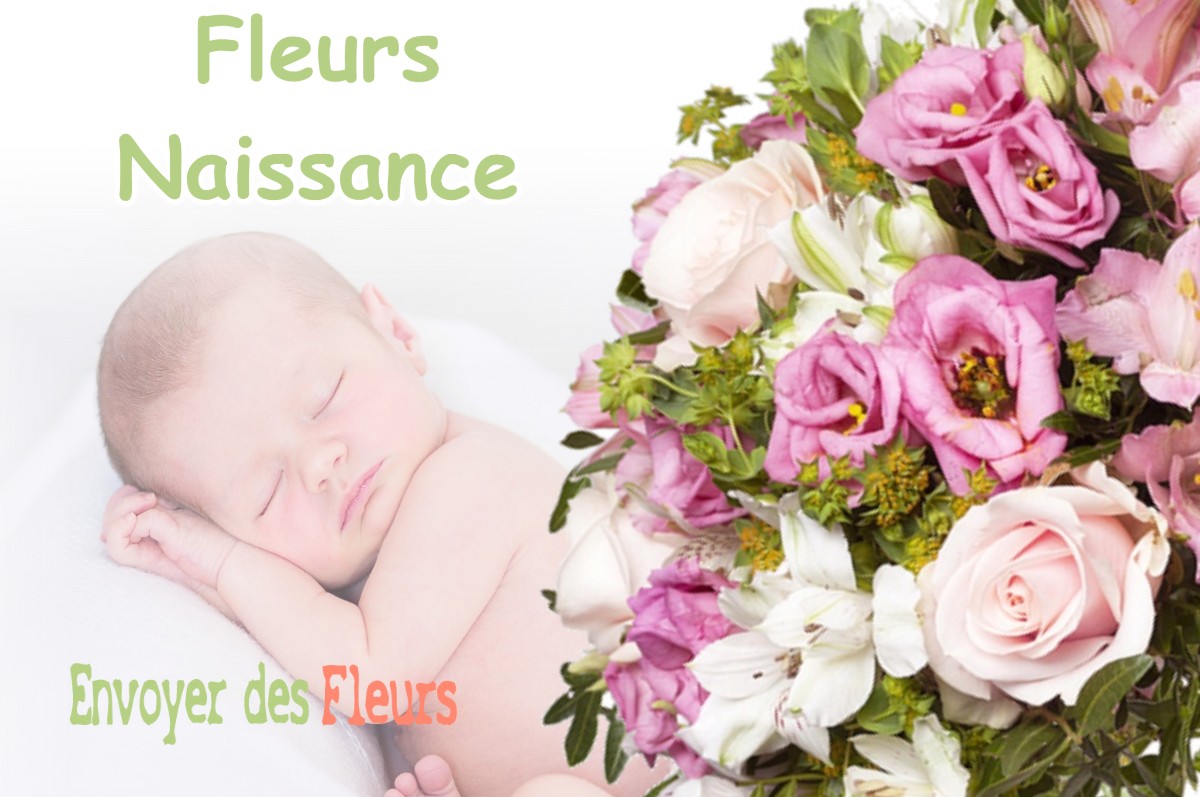 lIVRAISON FLEURS NAISSANCE à MIGNOVILLARD